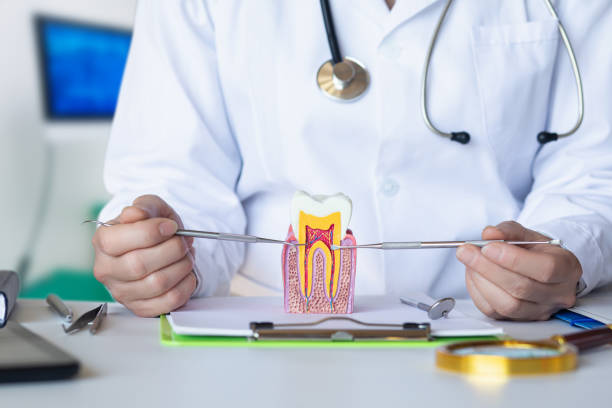 Best Emergency Dental Filling Replacement  in Russellville, AL